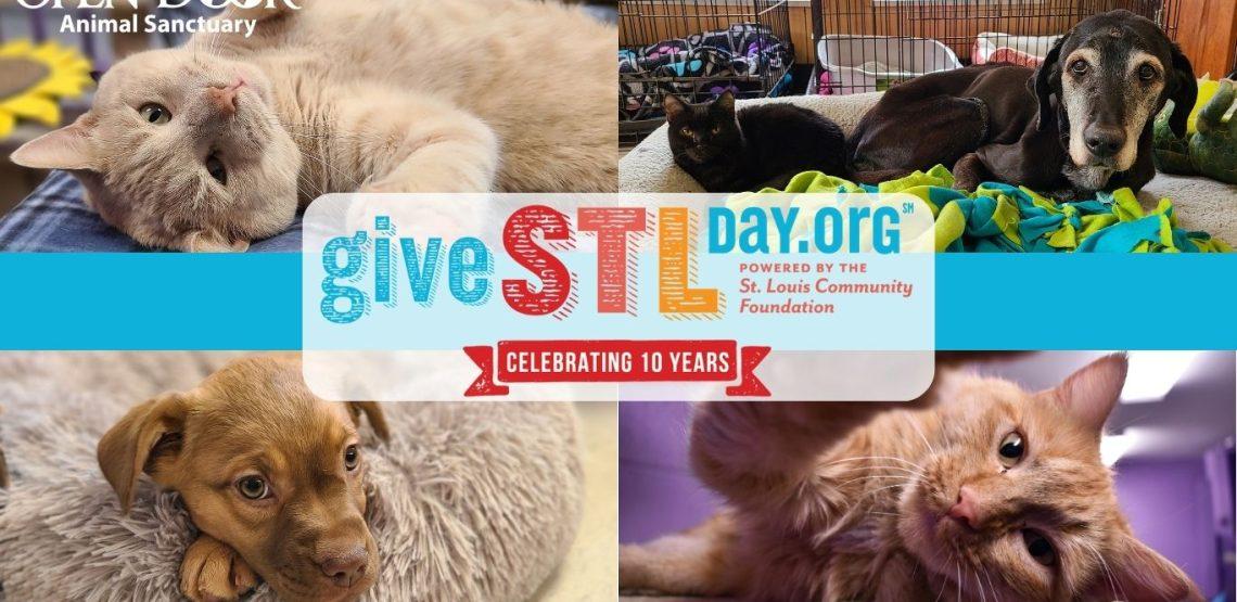 Give STL Day-Donate