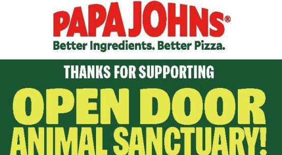 rescued cats rescued dogs papa johns fundraiser open door animal sanctuary